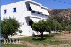 Liofyto Apartments in Rethymnon City, Rethymnon, Crete
