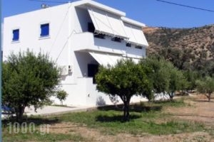 Liofyto Apartments_accommodation_in_Apartment_Crete_Rethymnon_Aghia Galini