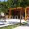 Liofyto Apartments_best deals_Apartment_Crete_Rethymnon_Aghia Galini