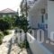 Stathoula's Studios_holidays_in_Hotel_Ionian Islands_Lefkada_Lefkada's t Areas