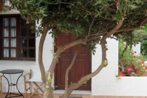 Anavaloussa Apartments_lowest prices_in_Apartment_Crete_Chania_Kissamos