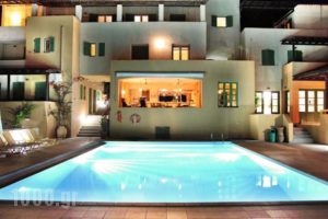 Hotel Scorpios_holidays_in_Hotel_Ionian Islands_Lefkada_Perigiali