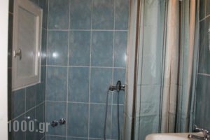 Pension Vasiliki_best deals_Hotel_Sporades Islands_Skiathos_Skiathoshora