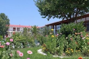 Aiolos Hotel_accommodation_in_Hotel___