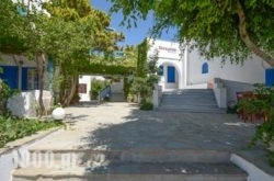 Despina Hotel in Agia Anna, Naxos, Cyclades Islands