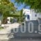 Despina Hotel_accommodation_in_Hotel_Cyclades Islands_Naxos_Agia Anna