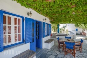 Despina Hotel_holidays_in_Hotel_Cyclades Islands_Naxos_Agia Anna