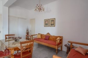 Despina Hotel_lowest prices_in_Hotel_Cyclades Islands_Naxos_Agia Anna