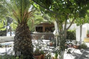 Areti Hotel_best prices_in_Hotel_Cyclades Islands_Sandorini_kamari