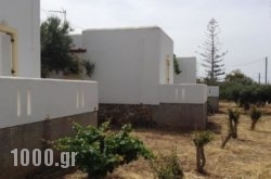 Galaxy Apartments in Antiparos Rest Areas, Antiparos, Cyclades Islands