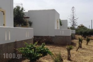 Galaxy Apartments_accommodation_in_Apartment_Cyclades Islands_Antiparos_Antiparos Rest Areas