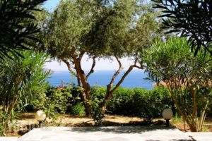 Anthemoessa Villas_lowest prices_in_Villa_Aegean Islands_Samos_MarathoKambos