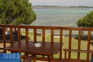 Studios Efi_accommodation_in_Hotel_Macedonia_Halkidiki_Chalkidiki Area