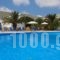 Albatros Hotel_accommodation_in_Hotel_Cyclades Islands_Sandorini_Sandorini Chora