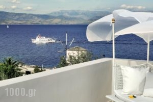Mayor Mon Repos Palace - Adults Only_best prices_in_Hotel_Ionian Islands_Corfu_Corfu Chora