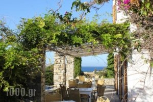Swiss Home Hotel_holidays_in_Hotel_Cyclades Islands_Paros_Paros Chora
