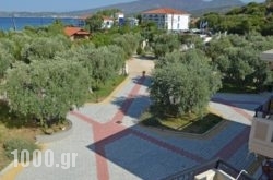 Mythos Bungalows in Skyros Rest Areas, Skyros, Sporades Islands
