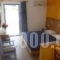 Paraschos Studios_holidays_in_Apartment_Dodekanessos Islands_Kos_Kardamena