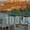 Hotel Thissio_best prices_in_Hotel_Central Greece_Attica_Moschato