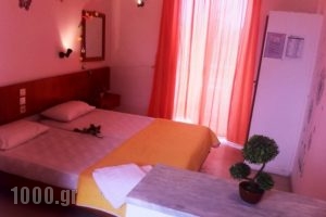 Erieta_lowest prices_in_Apartment_Ionian Islands_Zakinthos_Laganas