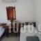 Elia Apartment_lowest prices_in_Room_Macedonia_Halkidiki_Nikiti