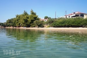 Elia Apartment_travel_packages_in_Macedonia_Halkidiki_Nikiti