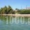 Elia Apartment_travel_packages_in_Macedonia_Halkidiki_Nikiti