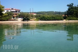 Elia Apartment_best prices_in_Room_Macedonia_Halkidiki_Nikiti