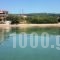 Elia Apartment_best prices_in_Room_Macedonia_Halkidiki_Nikiti