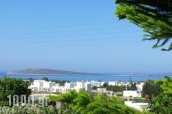 Narkissos Studios in Antiparos Rest Areas, Antiparos, Cyclades Islands