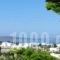 Narkissos Studios_accommodation_in_Hotel_Cyclades Islands_Antiparos_Antiparos Rest Areas