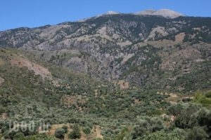 Monastery Estate_holidays_in_Hotel_Crete_Chania_Sougia