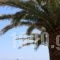 Zakantha Beach_best prices_in_Hotel_Ionian Islands_Zakinthos_Zakinthos Rest Areas