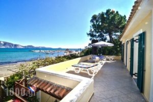 Turtle Beach_best deals_Apartment_Ionian Islands_Zakinthos_Agios Sostis