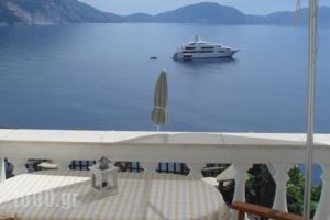 Kanakis Apartments_best prices_in_Apartment_Ionian Islands_Kefalonia_Kefalonia'st Areas