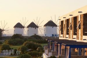 Mykonos Theoxenia Luxury Boutique Hotel_accommodation_in_Hotel_Cyclades Islands_Mykonos_Mykonos ora