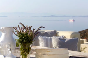 Diles & Rinies_accommodation_in_Room_Cyclades Islands_Tinos_Agios Fokas