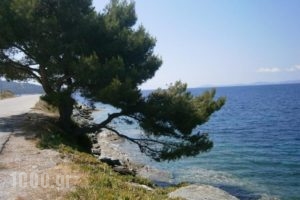 Akrotiri Hotel_travel_packages_in_Macedonia_Halkidiki_Neos Marmaras