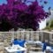 Gryparis' Club Apartments_best prices_in_Apartment_Cyclades Islands_Mykonos_Ornos