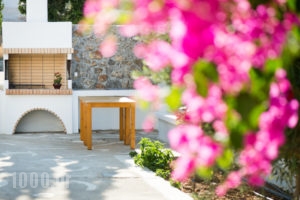 Mouras Resort_travel_packages_in_Dodekanessos Islands_Astipalea_Livadia