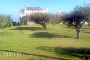 Terpsi Apartments_accommodation_in_Room_Peloponesse_Messinia_Kyparisia