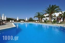 Eri Hotel in Paros Chora, Paros, Cyclades Islands