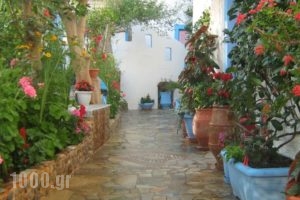 Big Blue Apartments_best prices_in_Apartment_Crete_Lasithi_Ierapetra