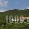 Jennifer Home Hotel_best deals_Hotel_Macedonia_Serres_Alistrati