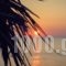 Hotel Zeus_best deals_Hotel_Cyclades Islands_Sandorini_kamari