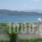 Studios Irini_lowest prices_in_Hotel_Ionian Islands_Lefkada_Lefkada's t Areas