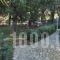 Hotel Orama_best deals_Hotel_Central Greece_Evia_Limni