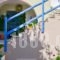 Sea View Apartments & Studios_best deals_Apartment_Cyclades Islands_Naxos_Agia Anna
