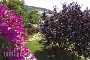 Rousis Studios_lowest prices_in_Hotel_Epirus_Preveza_Parga