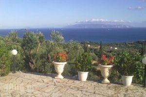 Aristea Studios_accommodation_in_Hotel_Ionian Islands_Kefalonia_Kefalonia'st Areas